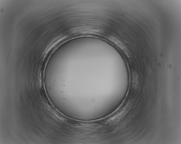 X0000083010782200702161550