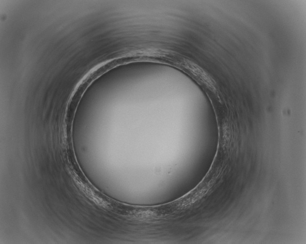 X0000083010784200702161550