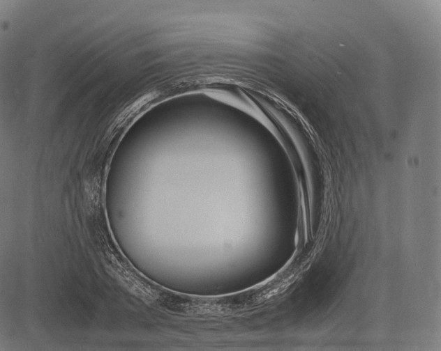 X0000083010785200702161550