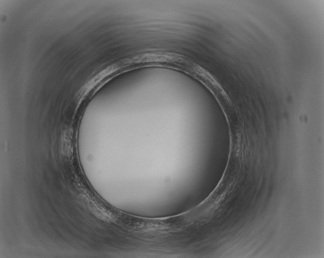 X0000083010786200702161550