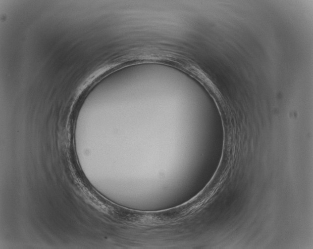 X0000083010787200702161550