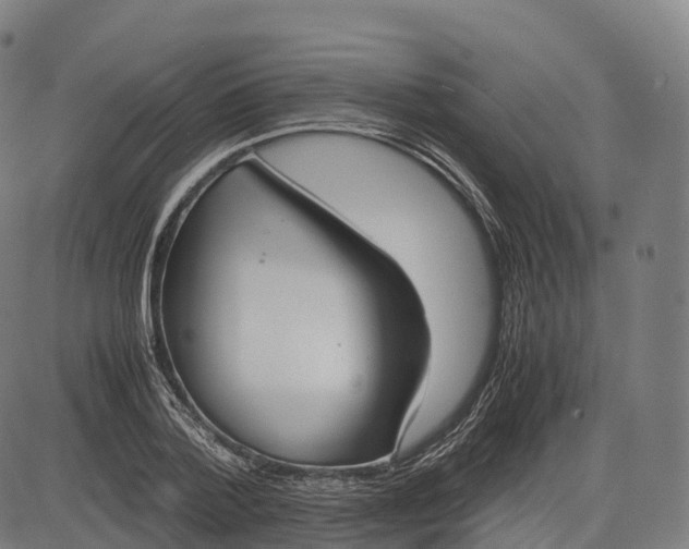 X0000083010788200702161550