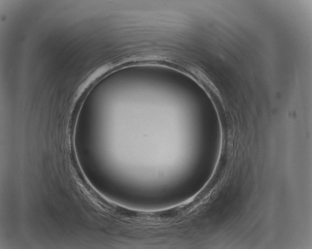 X0000083010789200702161550