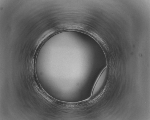 X0000083010790200702161550