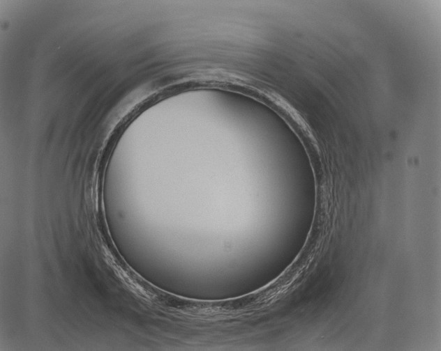 X0000083010791200702161550