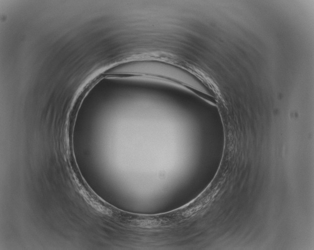 X0000083010792200702161550