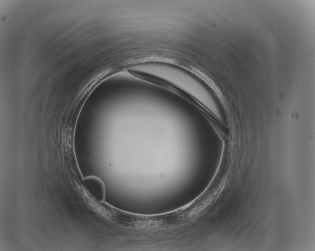 X0000083010793200702161550