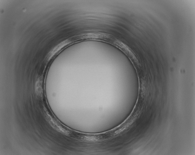 X0000083010794200702161550