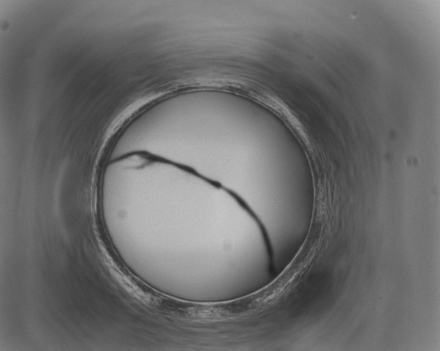 X0000083010795200702161550