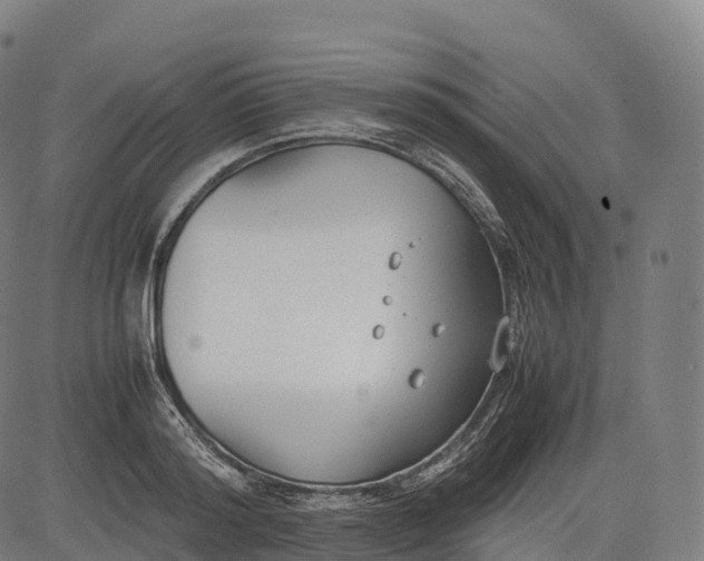 X0000083010796200702161550