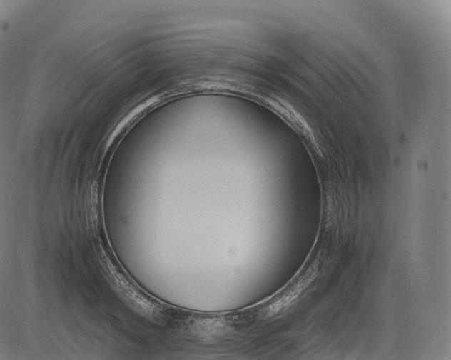 X0000083010798200702161550