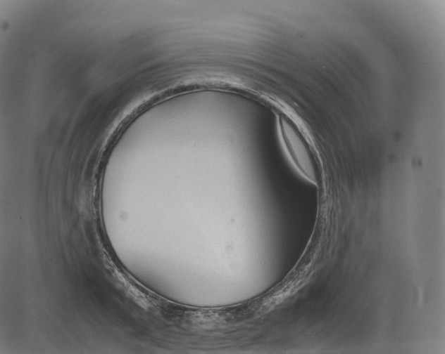 X0000083010799200702161550