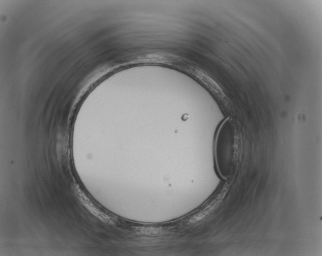 X0000083010800200702161550