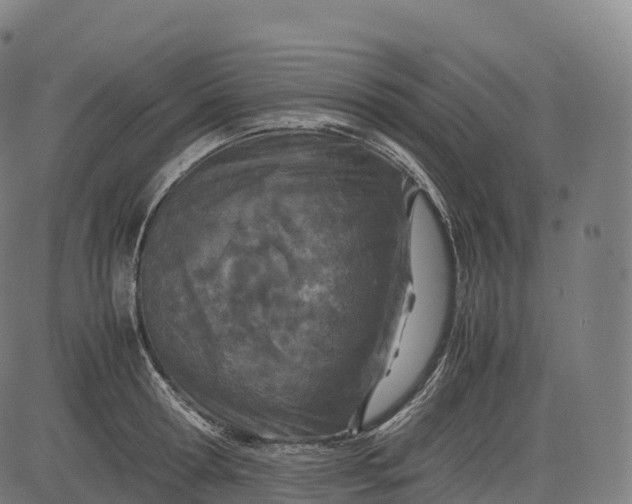 X0000083010802200702161550