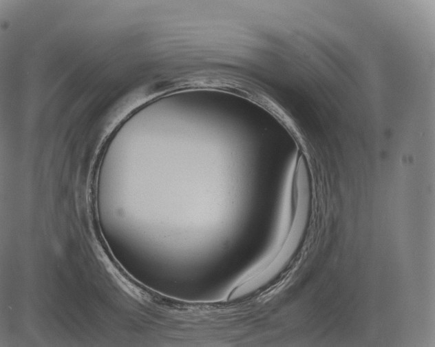 X0000083010803200702161550