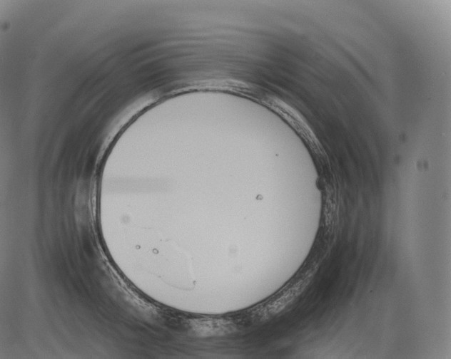 X0000083010804200702161550