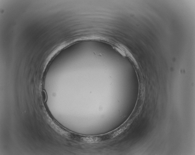 X0000083010805200702161550