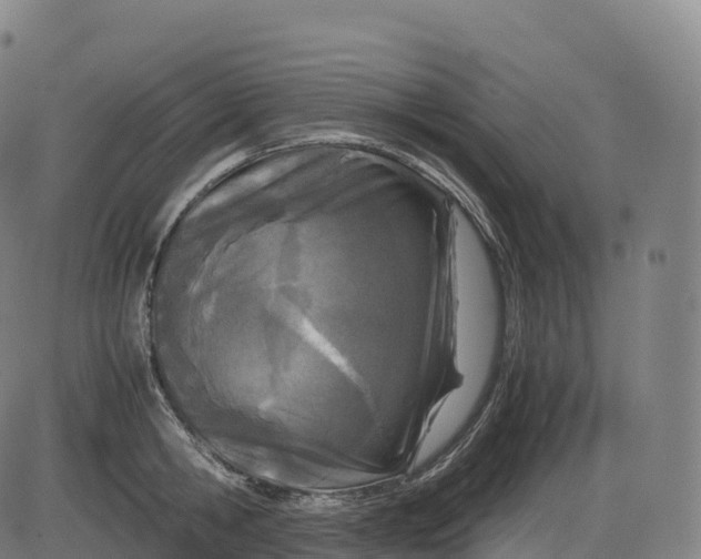 X0000083010806200702161550