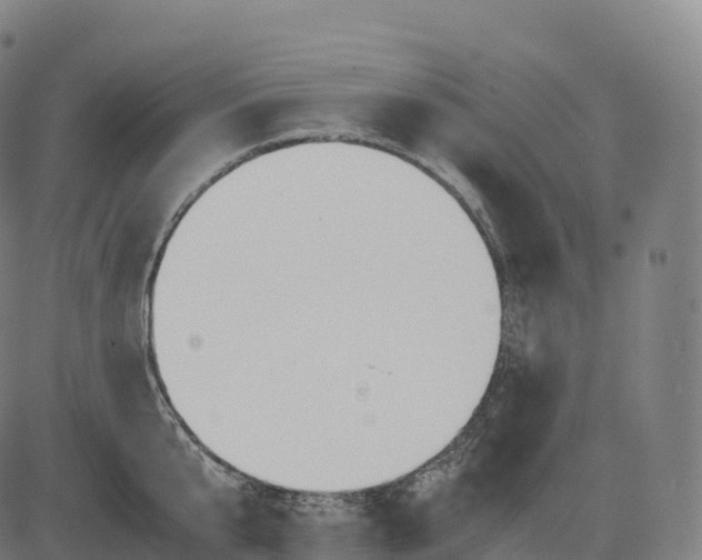 X0000083010807200702161550