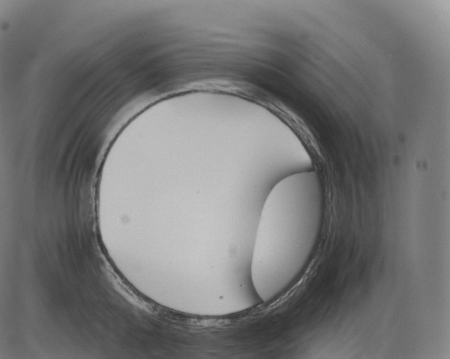 X0000083010808200702161550