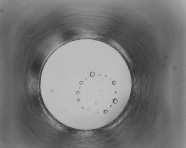 X0000083010810200702161550