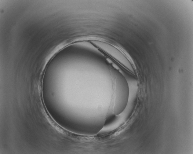 X0000083010813200702161550