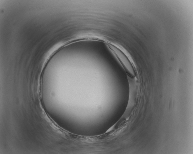 X0000083010815200702161549