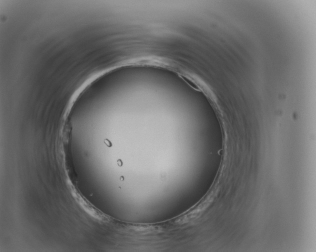 X0000083010816200702161549