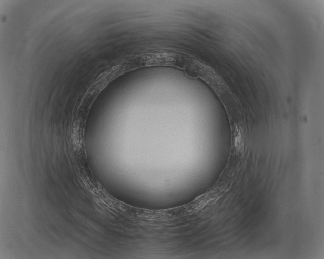 X0000083010819200702161549