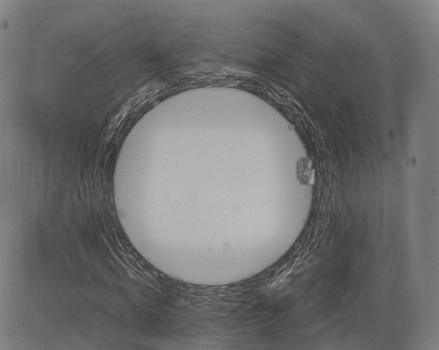 X0000083010820200702161549