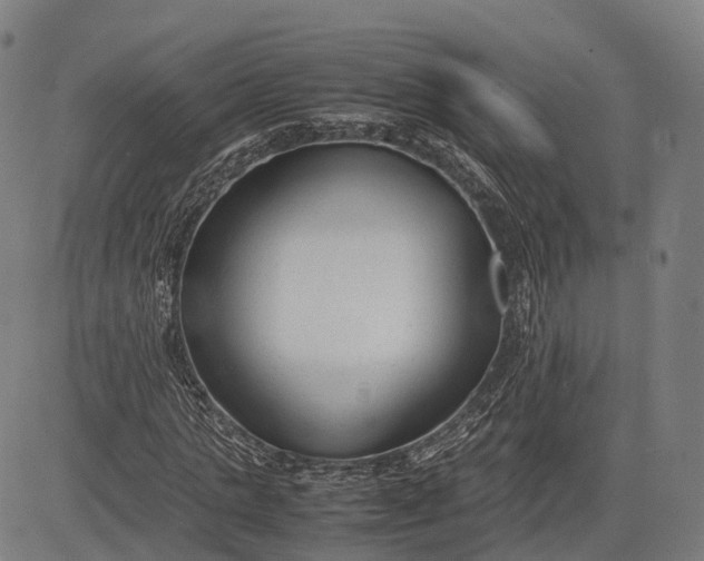 X0000083010821200702161549