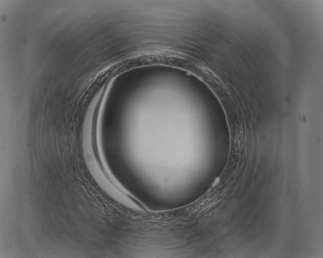 X0000083010822200702161549