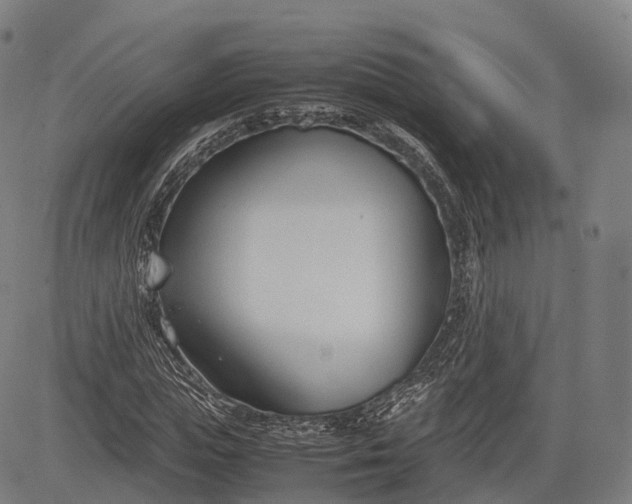 X0000083010823200702161549