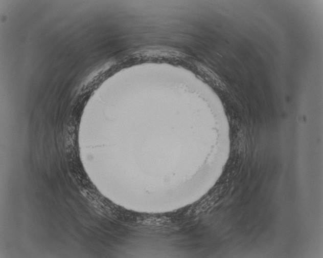 X0000083010824200702161549