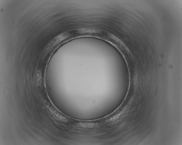 X0000083010825200702161549