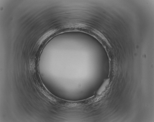 X0000083010826200702161549