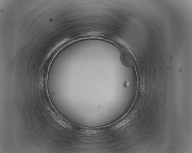 X0000083010827200702161549