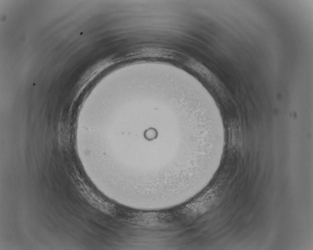 X0000083010828200702161549