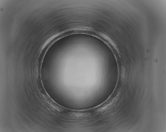 X0000083010829200702161549