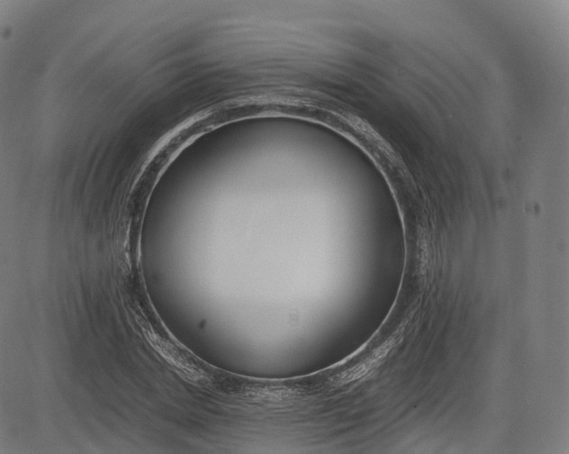 X0000083010830200702161549