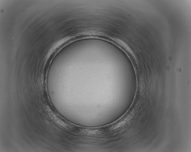 X0000083010831200702161549