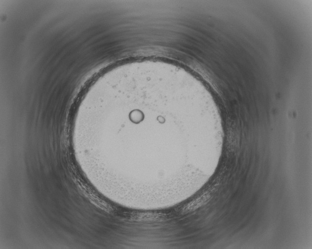 X0000083010832200702161549