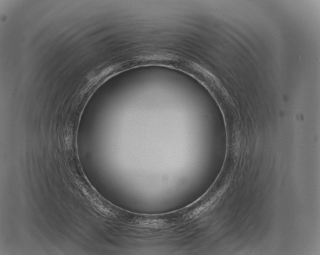 X0000083010833200702161549