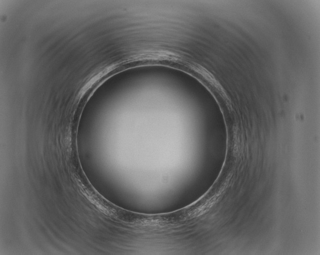 X0000083010834200702161549