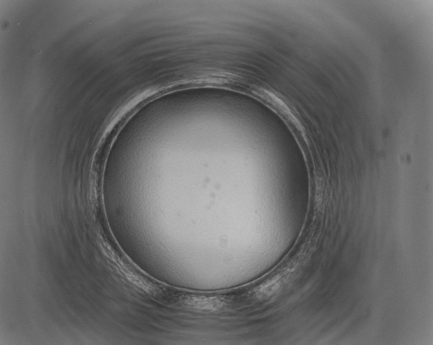 X0000083010835200702161549