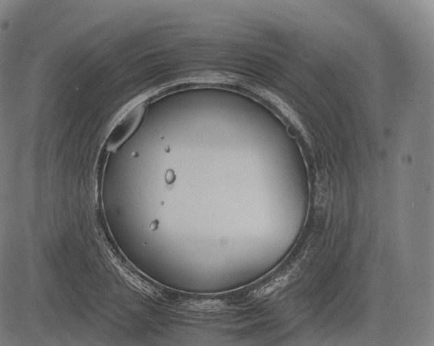 X0000083010837200702161549