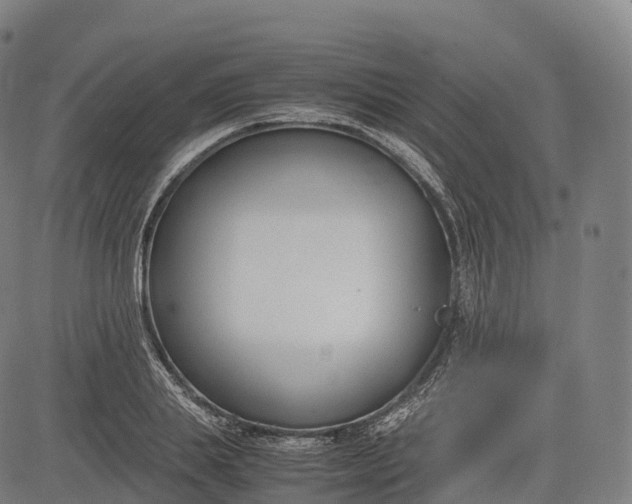 X0000083010839200702161549