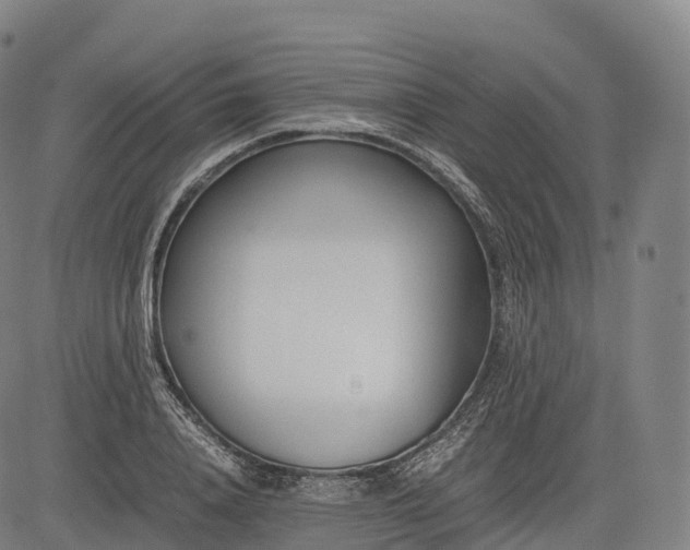 X0000083010840200702161549