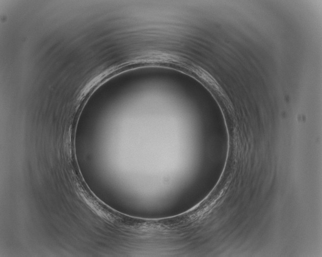 X0000083010842200702161549