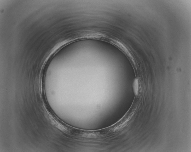 X0000083010843200702161549